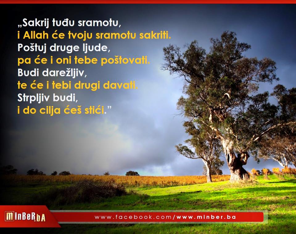 Slika 21