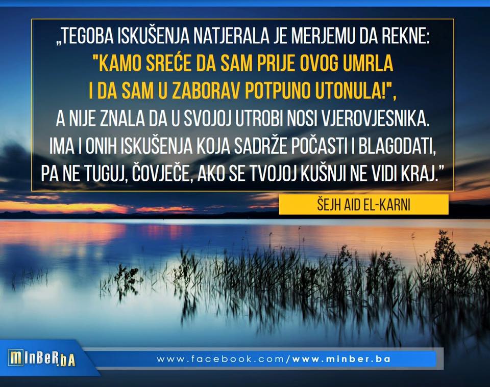 Slika 22