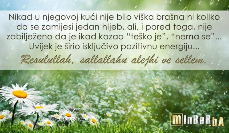 slika 29