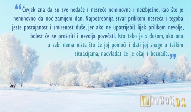 slika 30