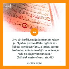Slika 1593