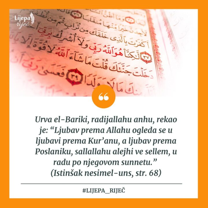 Slika 1593