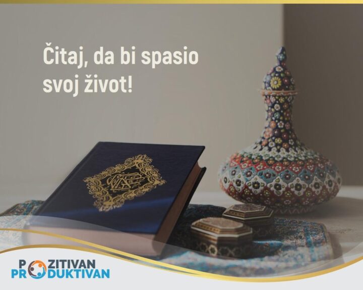 Slika 242