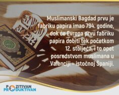 Slika 250