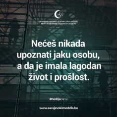Slika 2085