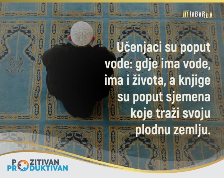 Slika 291